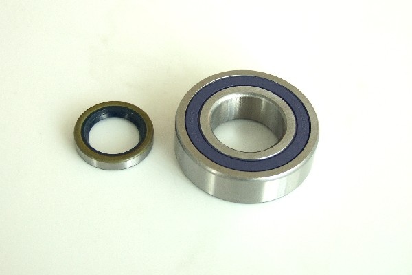  wheel bearing kit SCP 1325
